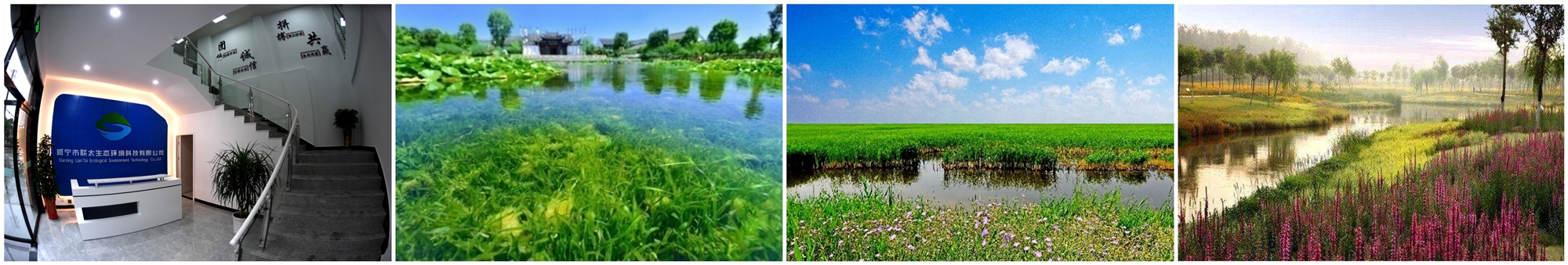 ��ҳ- �������ǲ��й��������