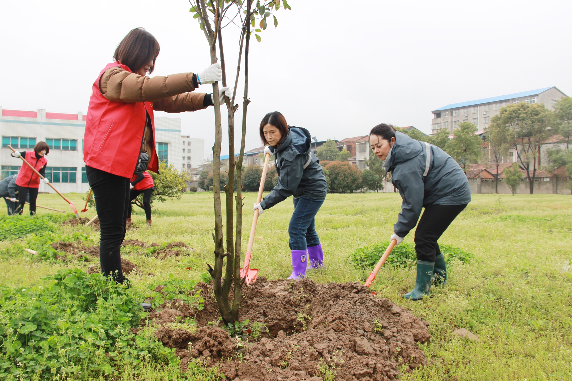 ��ҳ- �������ǲ��й��������