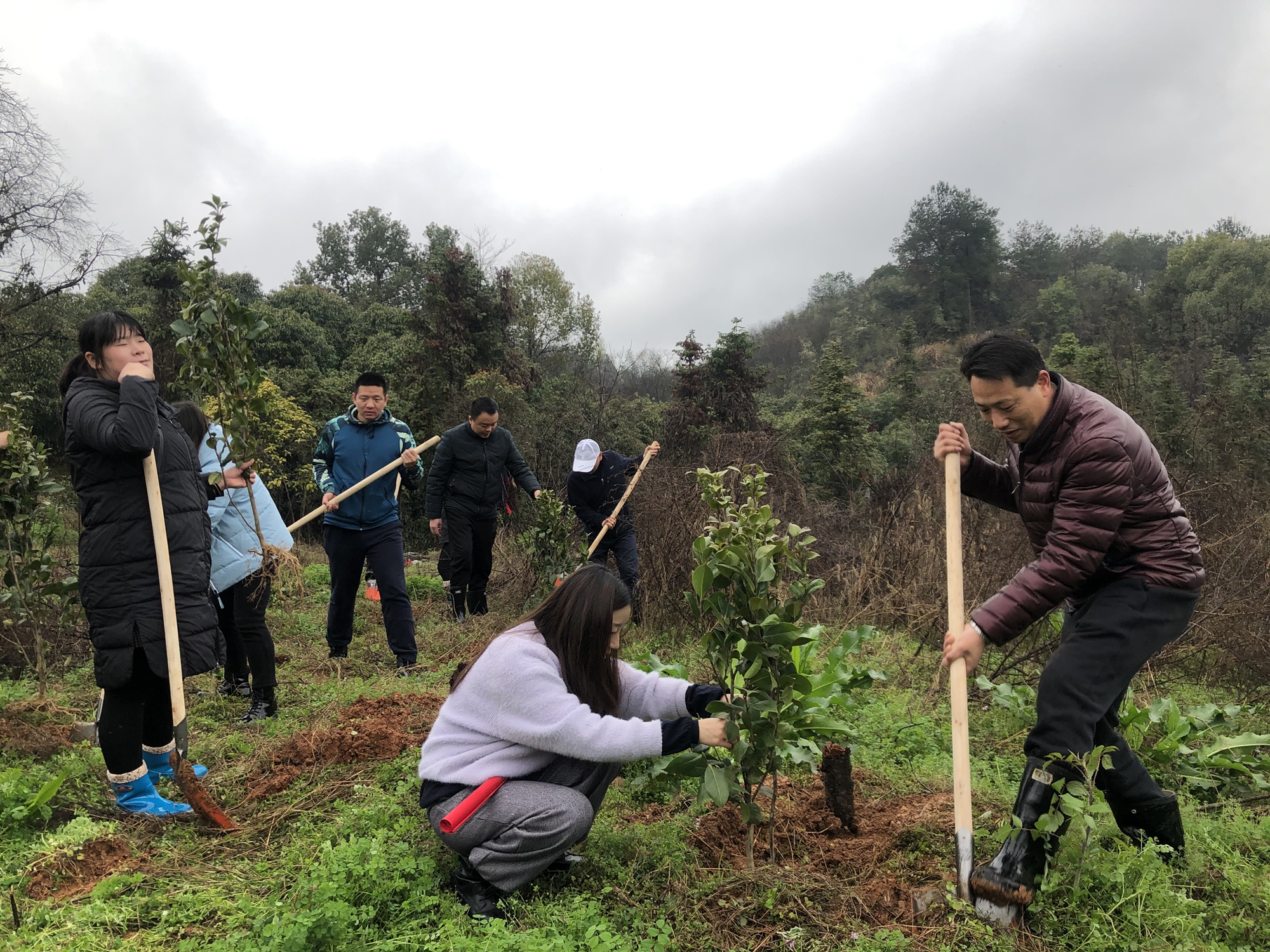 ��ҳ- �������ǲ��й��������