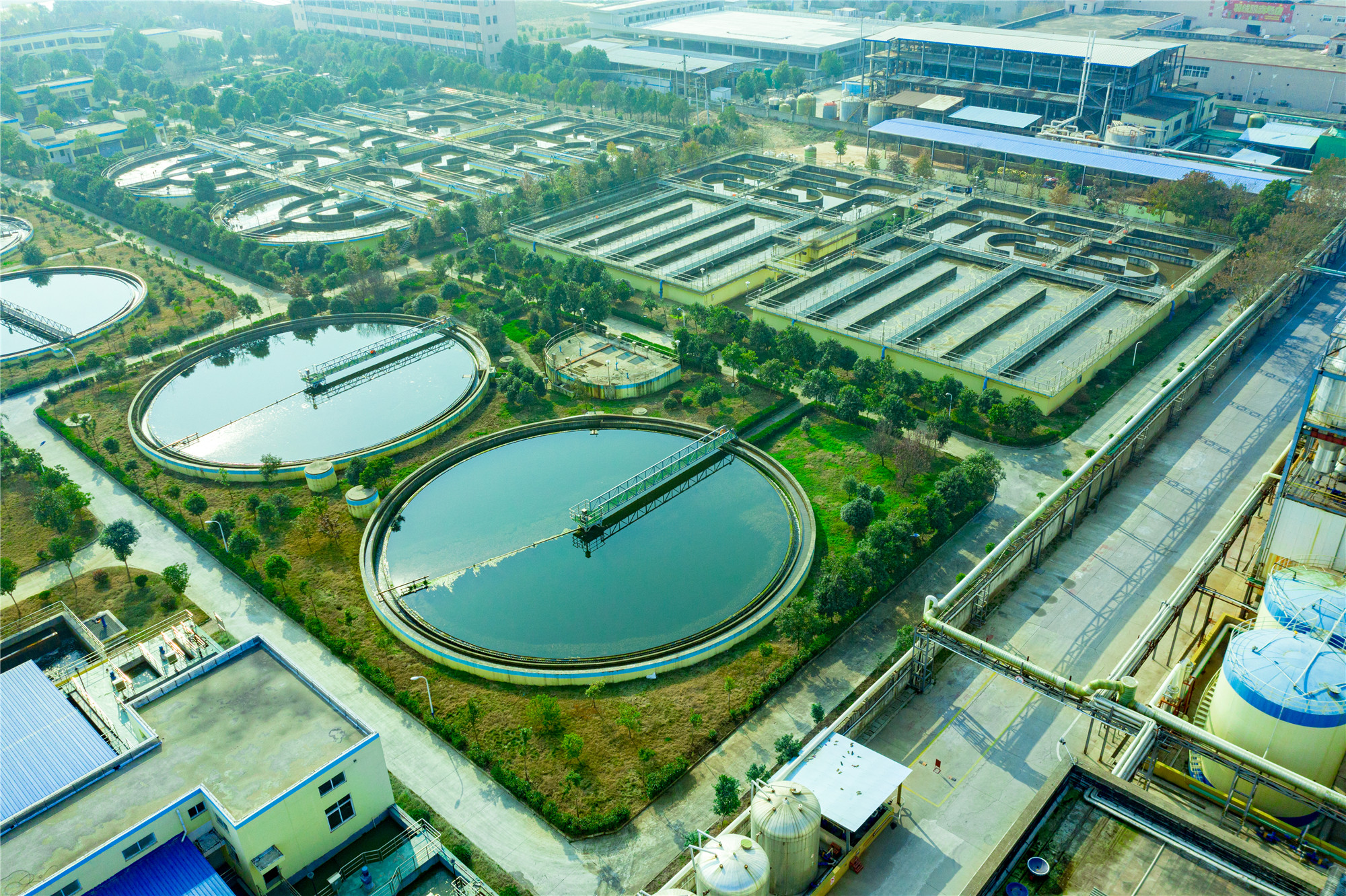 ��ҳ- �������ǲ��й��������