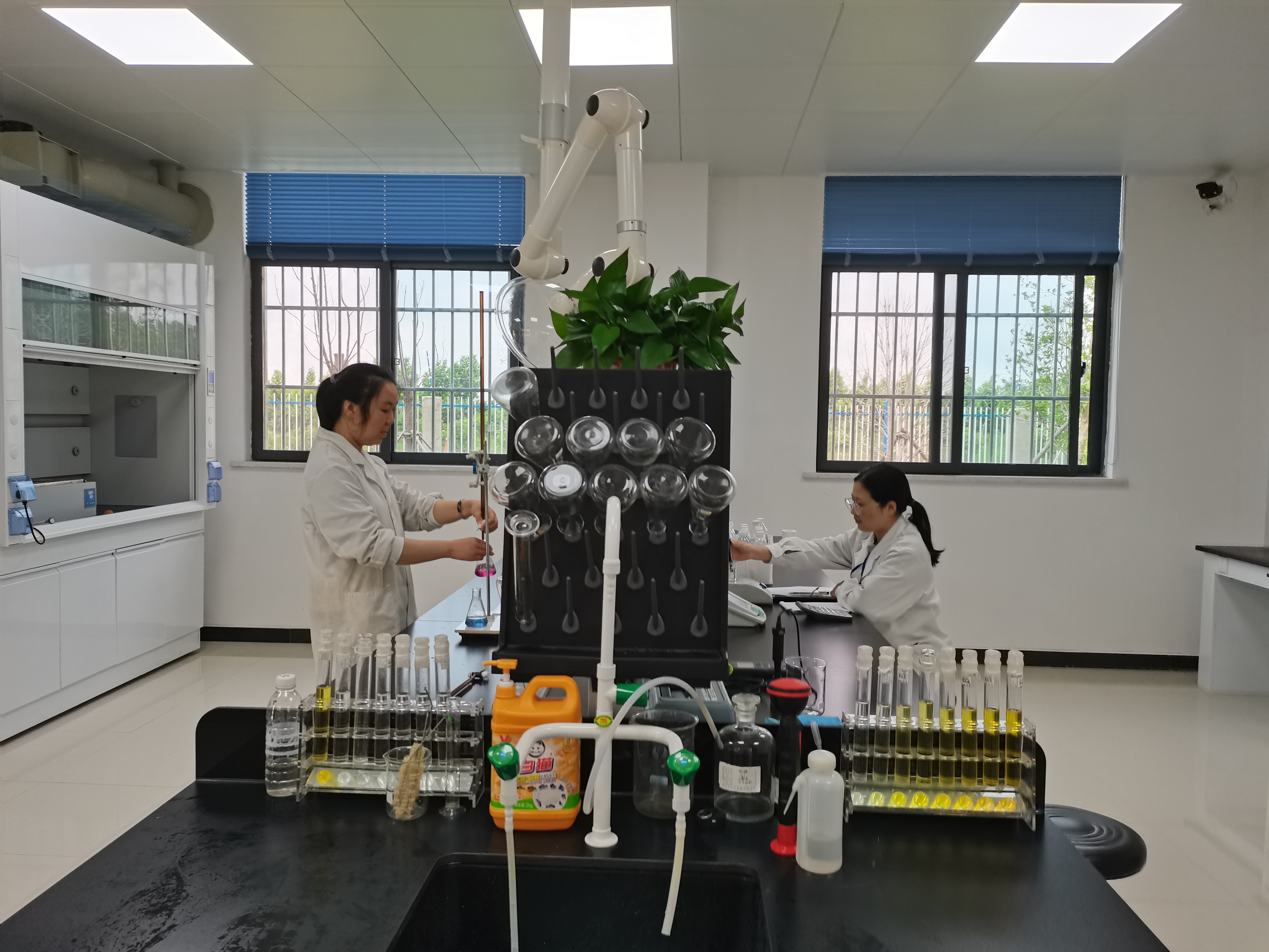 ��ҳ- �������ǲ��й��������