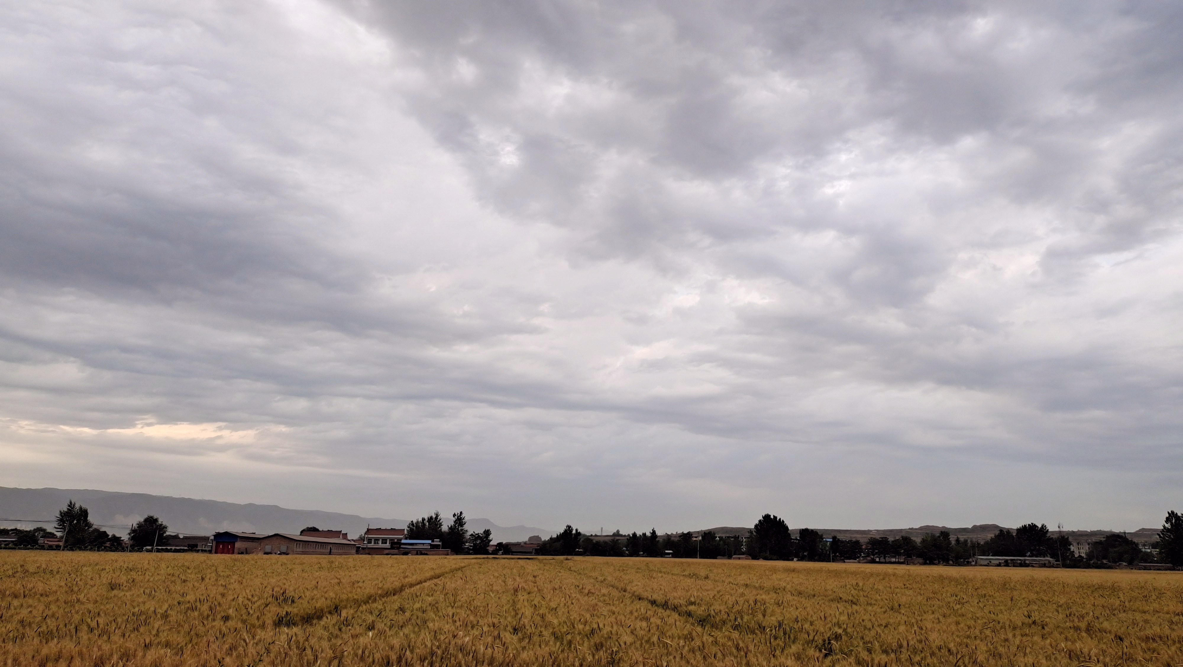 ��ҳ- �������ǲ��й��������