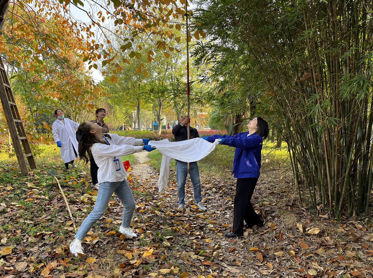 ��ҳ- �������ǲ��й��������