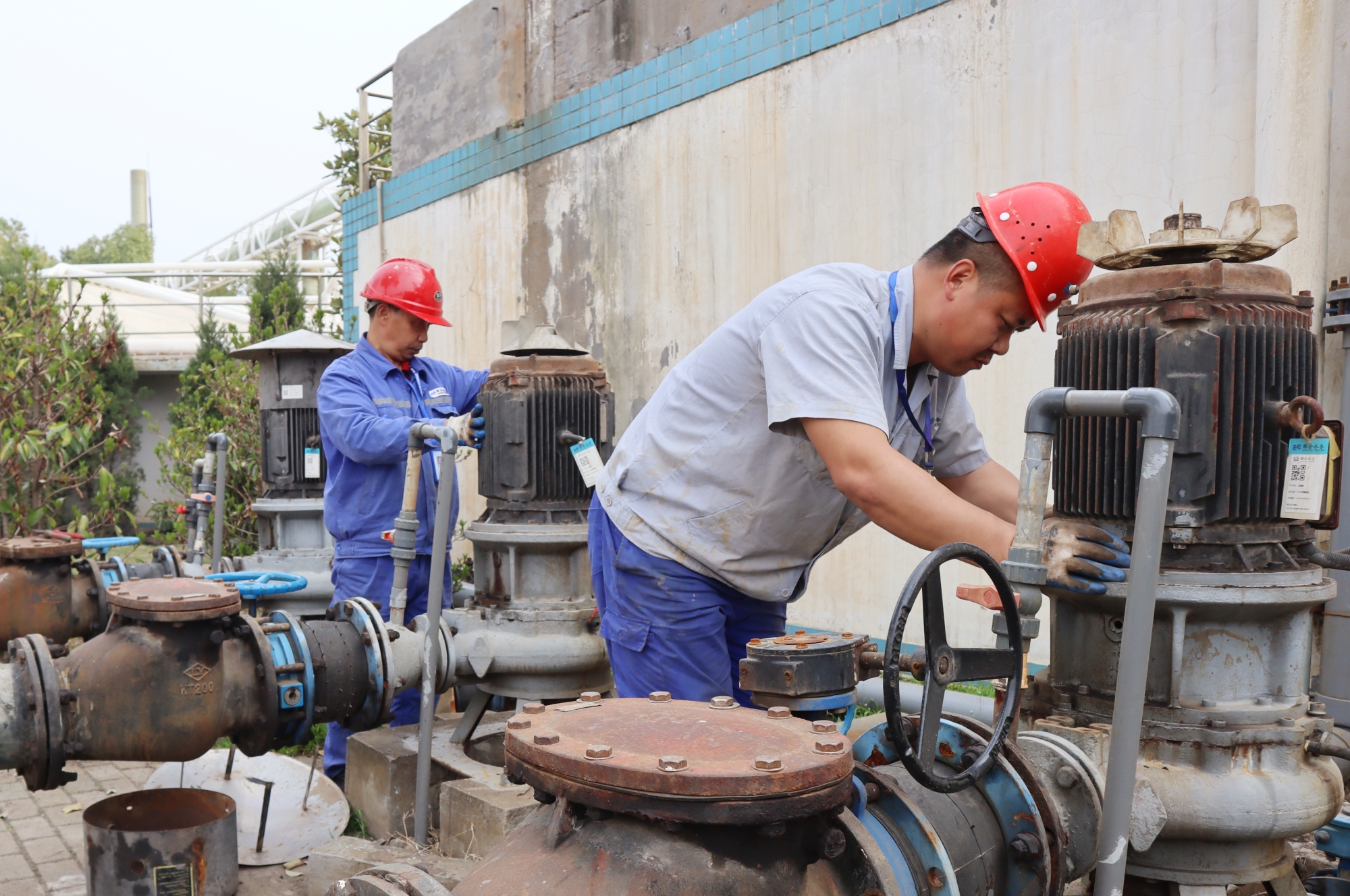 ��ҳ- �������ǲ��й��������