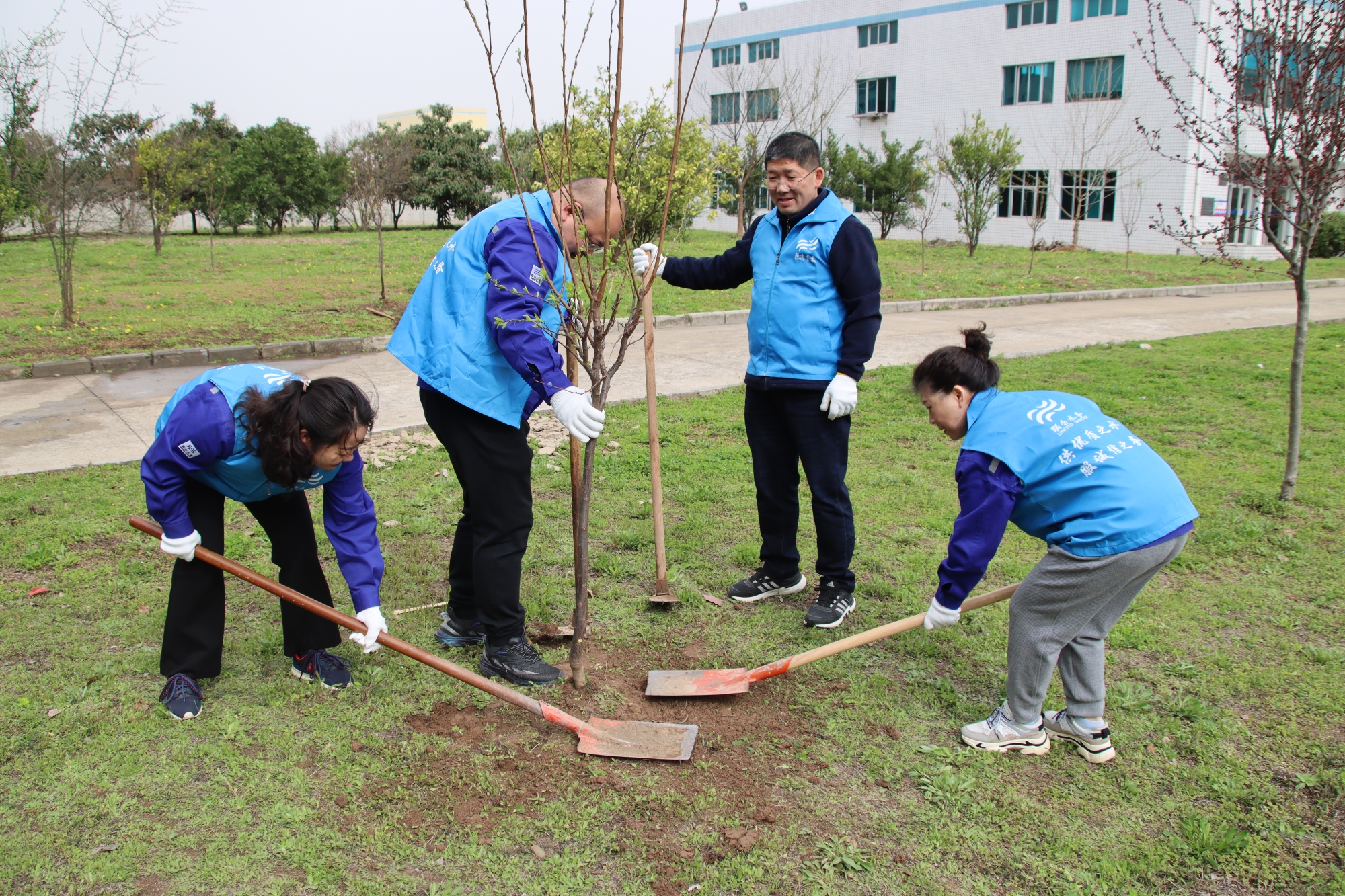 ��ҳ- �������ǲ��й��������