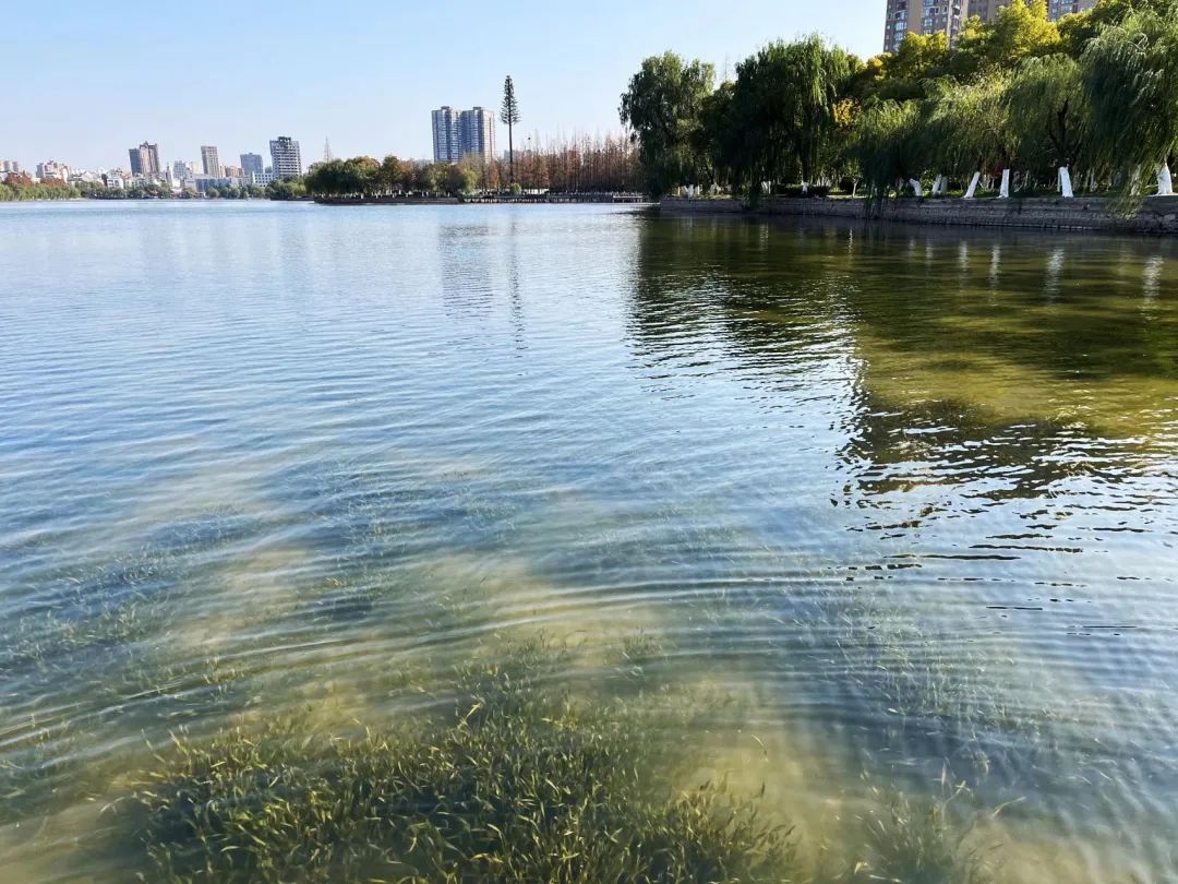 ��ҳ- �������ǲ��й��������