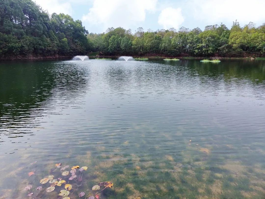 ��ҳ- �������ǲ��й��������