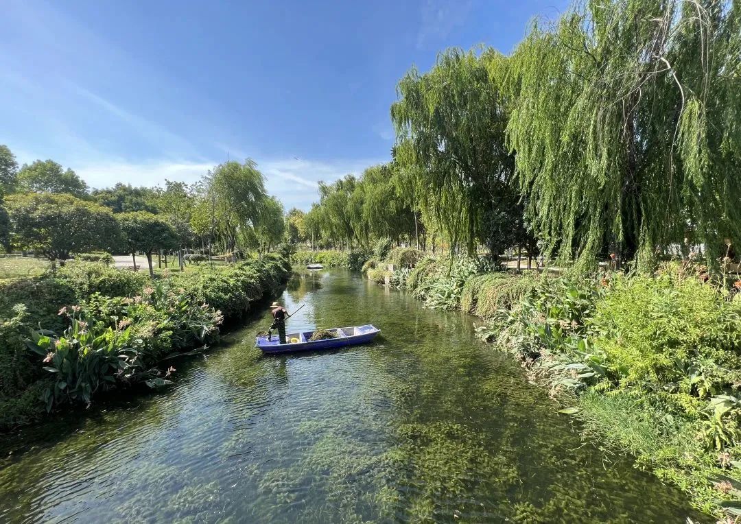 ��ҳ- �������ǲ��й��������