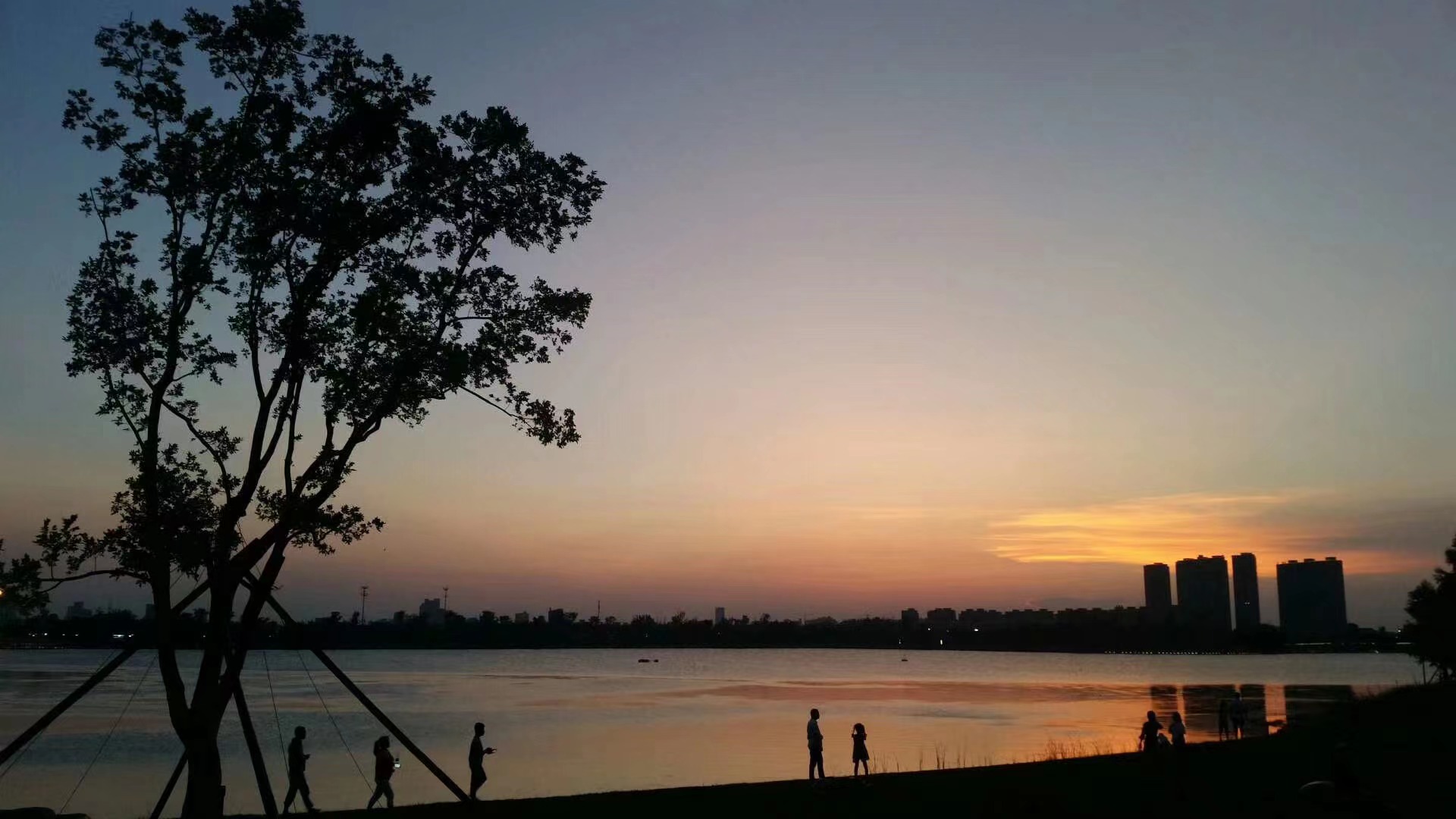 ��ҳ- �������ǲ��й��������