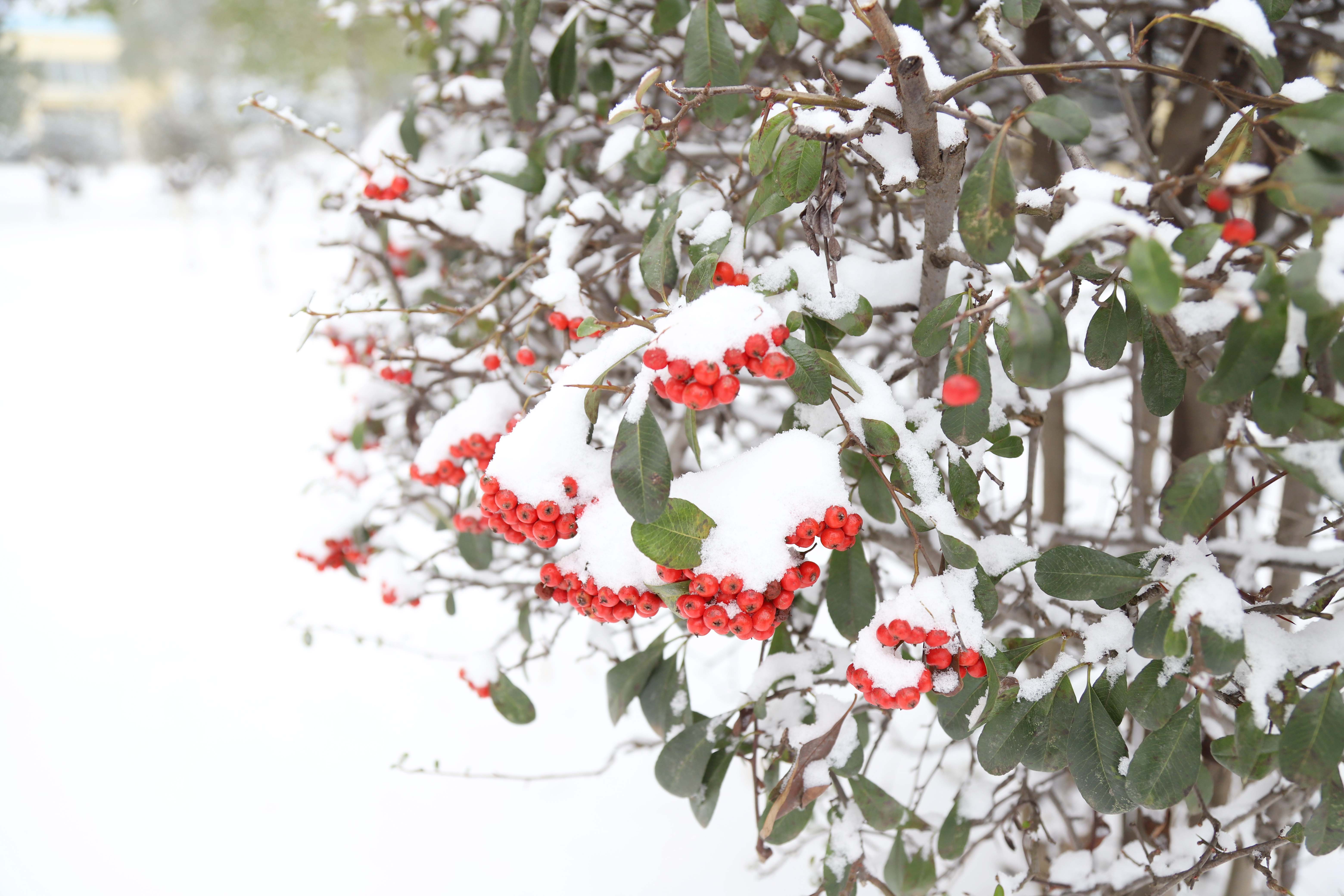 ��ҳ- �������ǲ��й��������