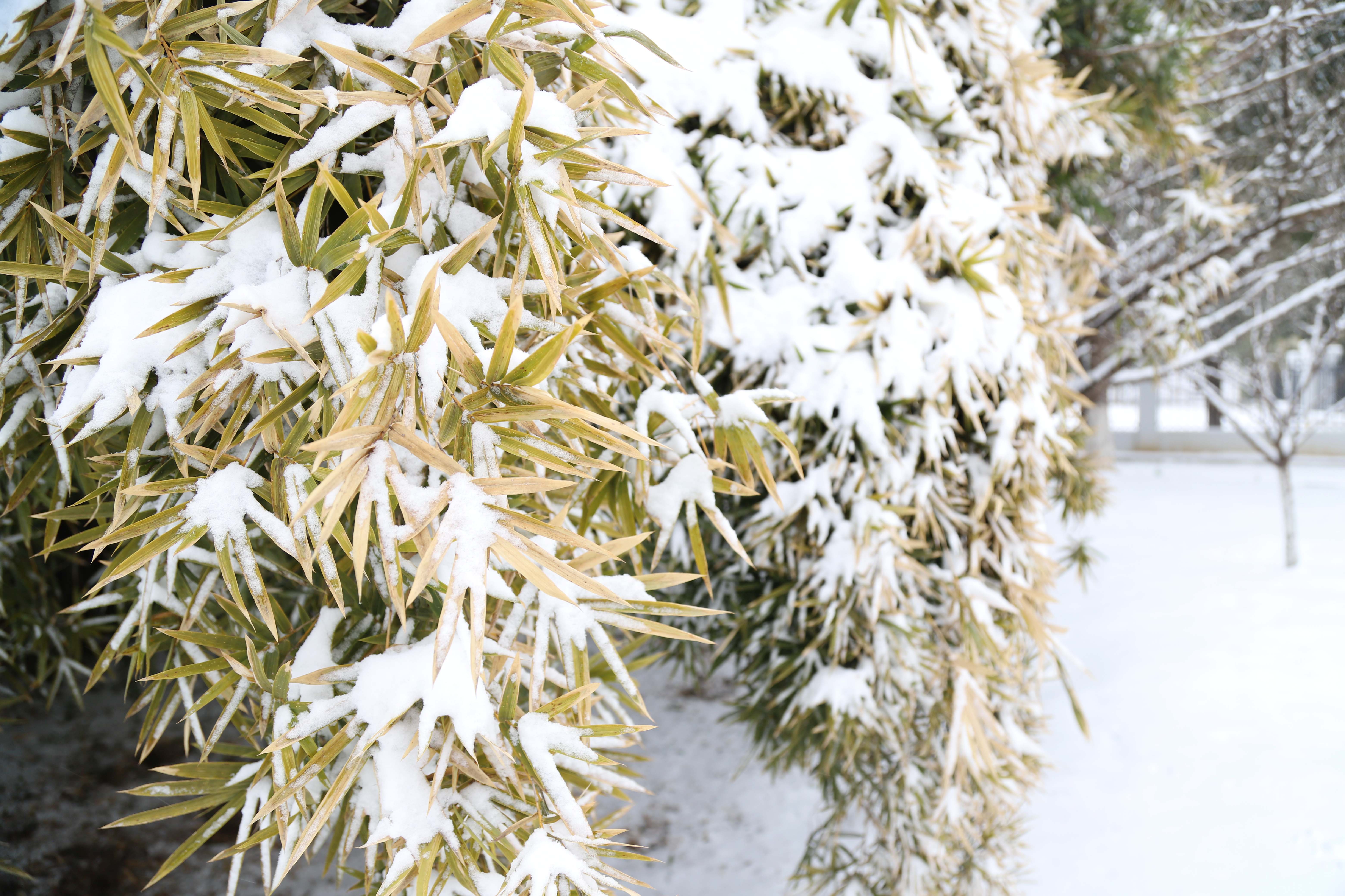 ��ҳ- �������ǲ��й��������