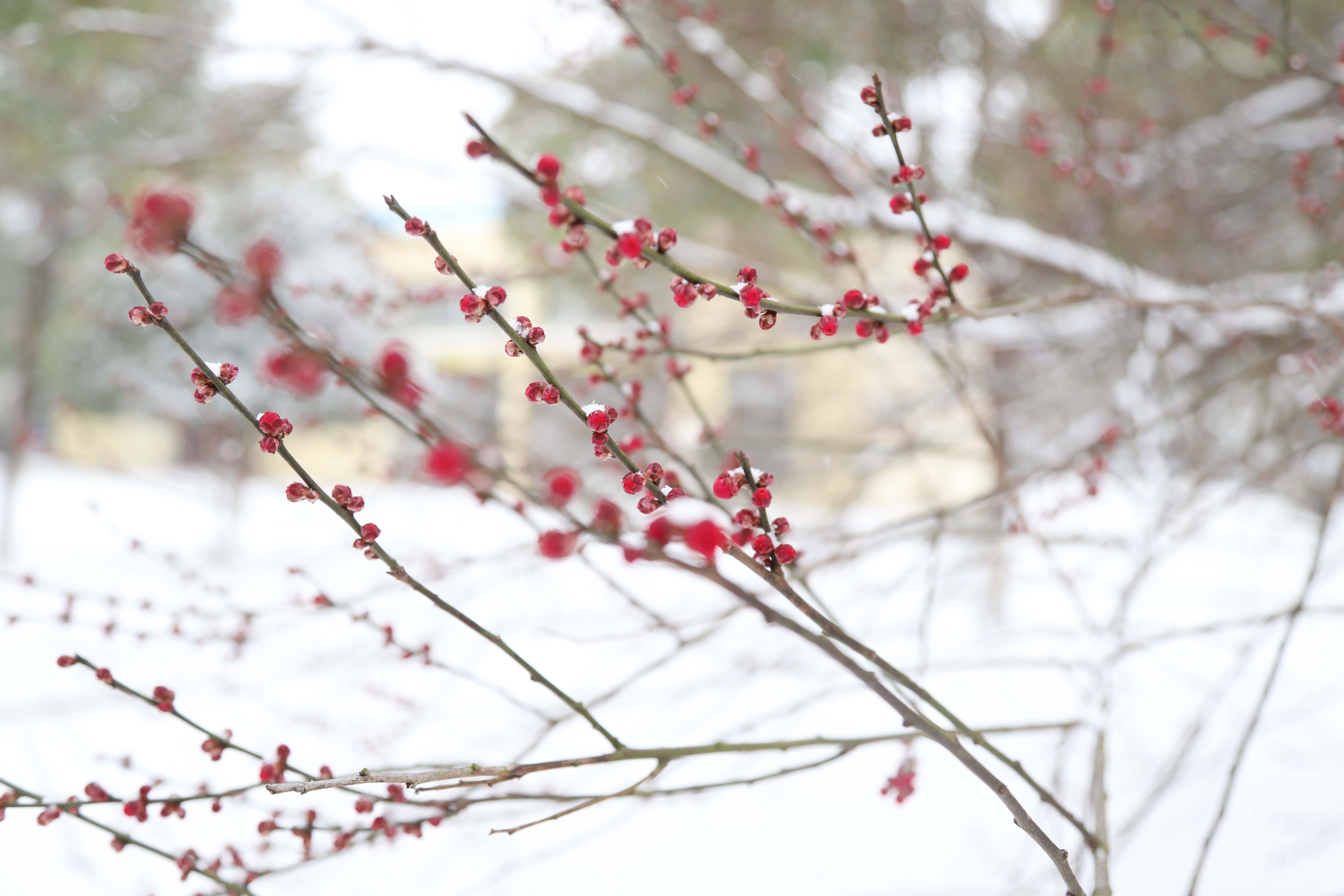 ��ҳ- �������ǲ��й��������