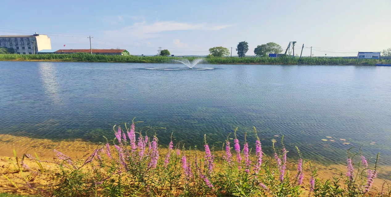 ��ҳ- �������ǲ��й��������