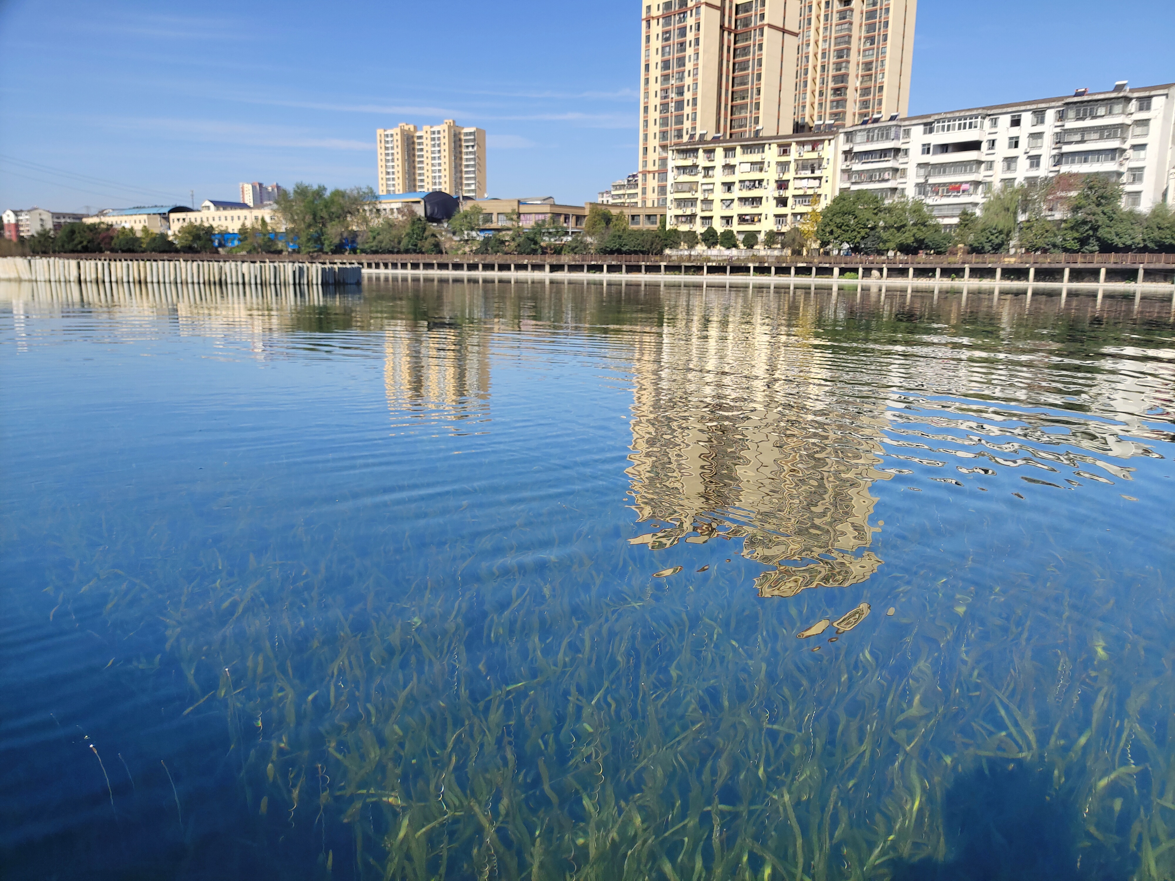 ��ҳ- �������ǲ��й��������