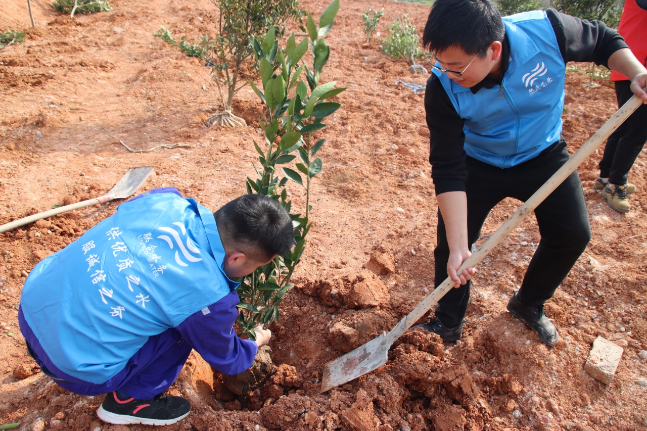 ��ҳ- �������ǲ��й��������