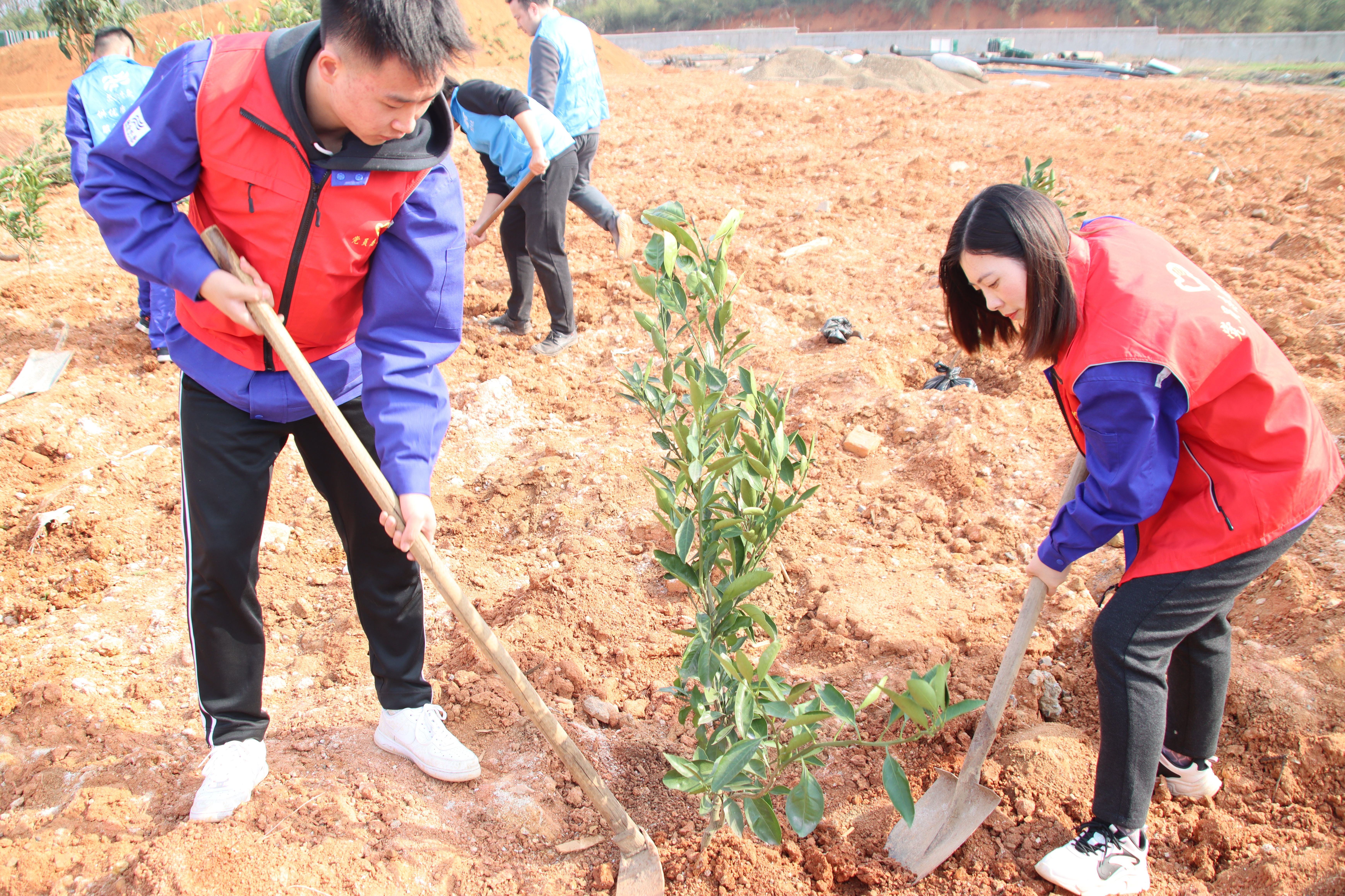 ��ҳ- �������ǲ��й��������