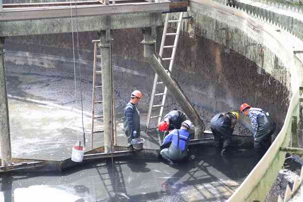 ��ҳ- �������ǲ��й��������