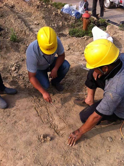 ��ҳ- �������ǲ��й��������