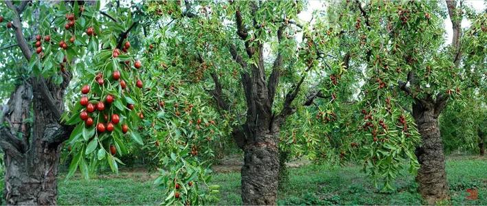 ��ҳ- �������ǲ��й��������